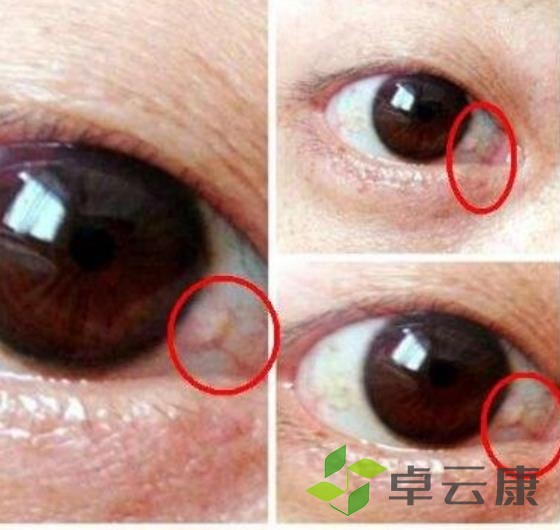 360截图20230206214041793