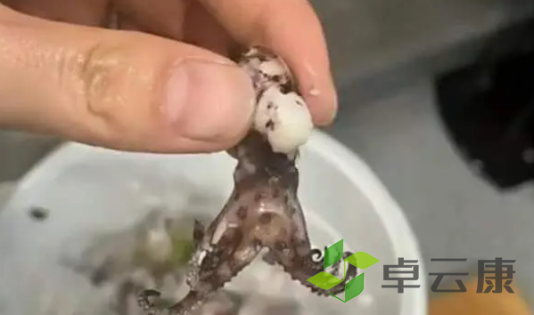 QQ截图20230207102949