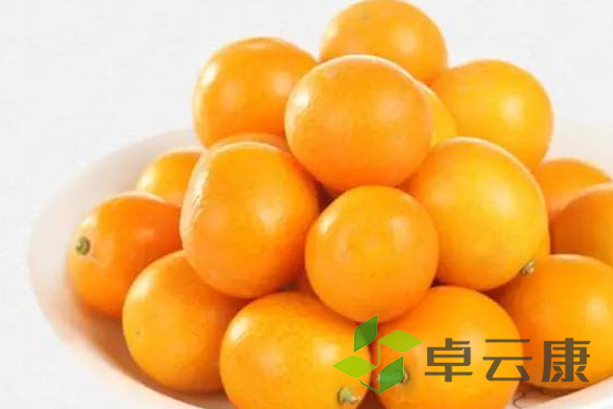 QQ截图20230207205648