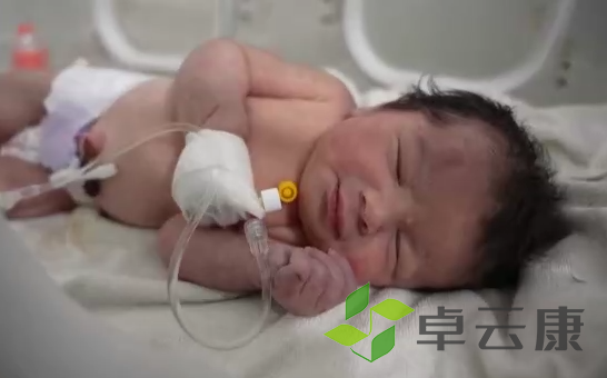 QQ截图20230208114435