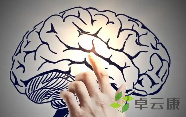 QQ截图20230208114734