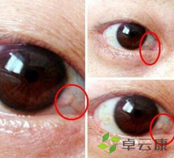 360截图20230208223740191
