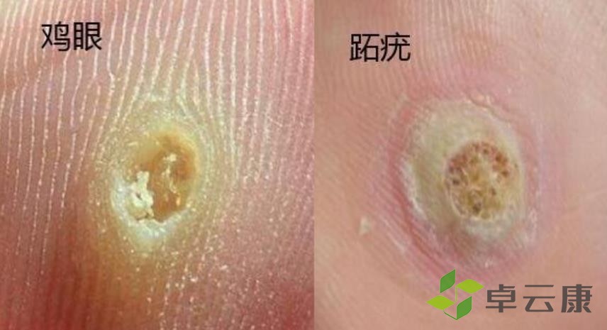 360截图20230208230237752