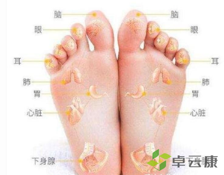 360截图20230209141908915