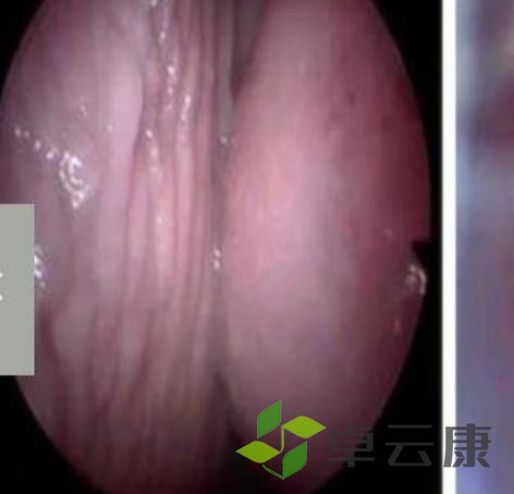 360截图20230209152645676