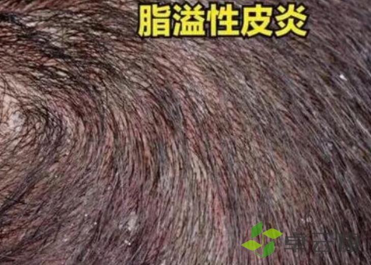 360截图20230209160438683