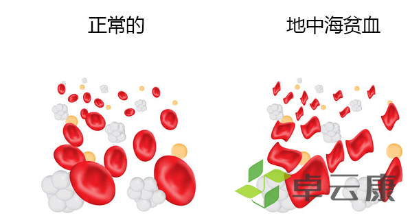 QQ截图20230210115503