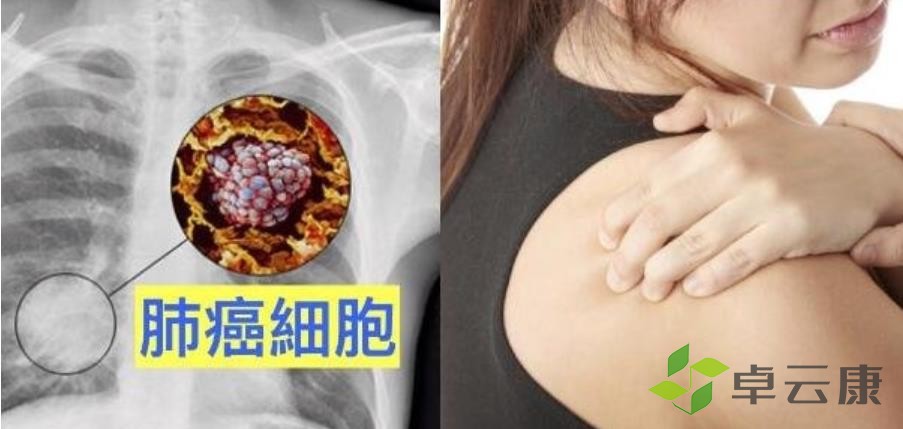 360截图20230210123738740