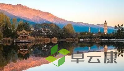 QQ截图20230210223252