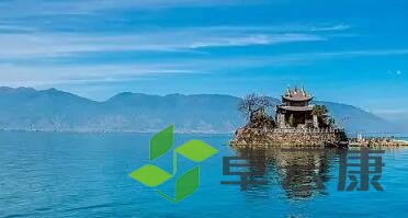 QQ截图20230210225120
