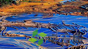 QQ截图20230211150017