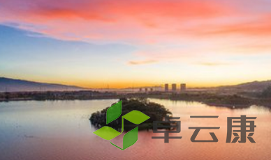 QQ截图20230211155514