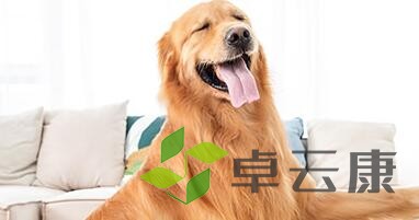 QQ截图20230212113453