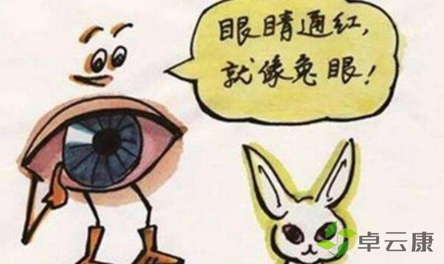 360截图20230212214948080