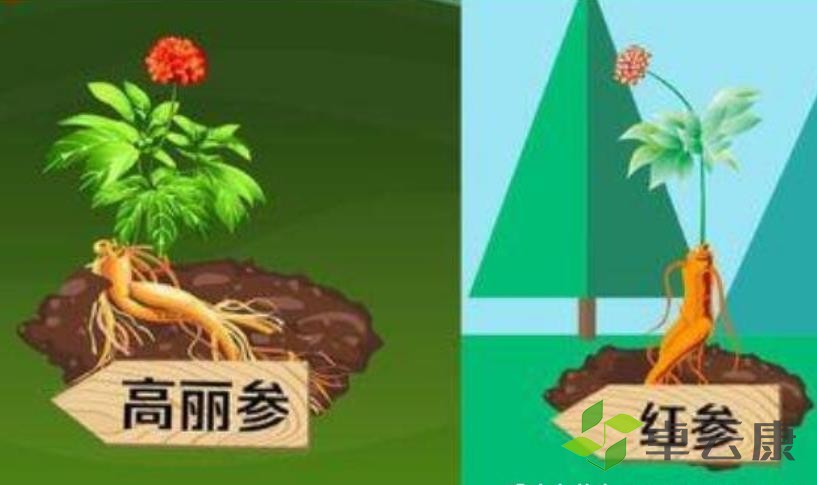 360截图20230212215309956