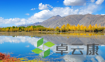 QQ截图20230213102340