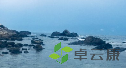 QQ截图20230213103239