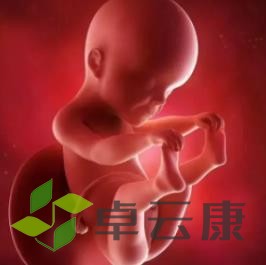 360截图20230213212633729
