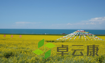 QQ截图20230214094307