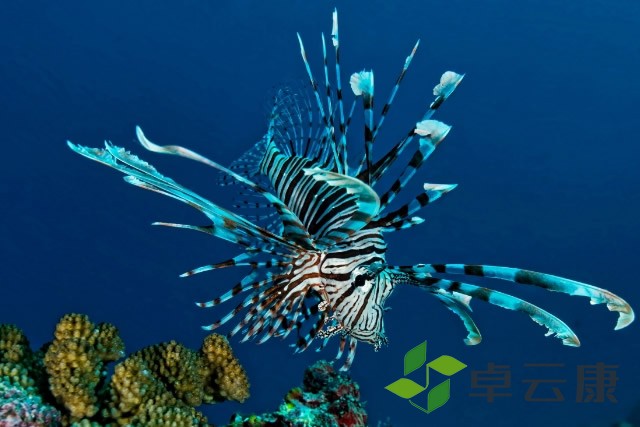 14474078762_640<em></em>x427
