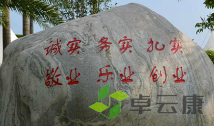 QQ截图20230219101625