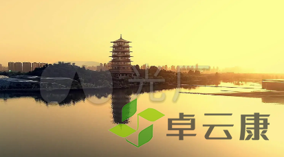 QQ截图20230219111405