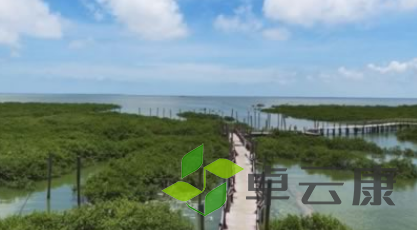 QQ截图20230220094819