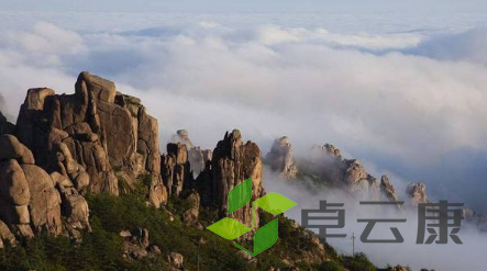 QQ截图20230222095531