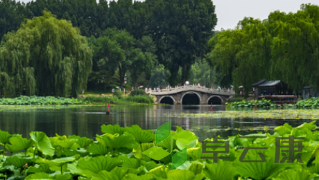 QQ截图20230222103124