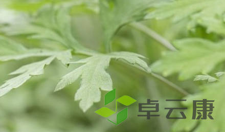 QQ截图20230222135131