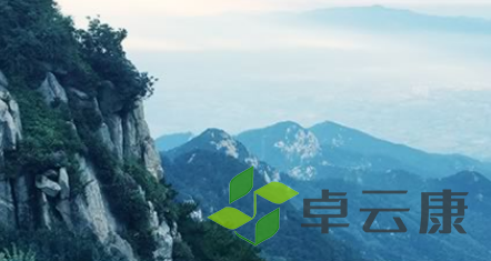 QQ截图20230225152746
