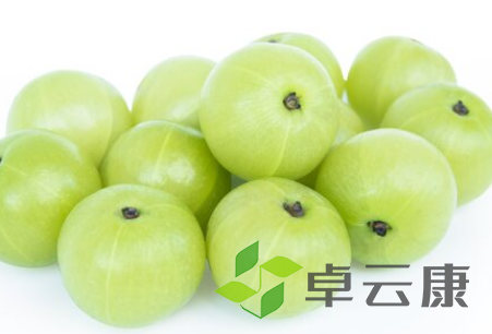 QQ截图20230225160414