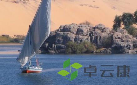 QQ截图20230226093552
