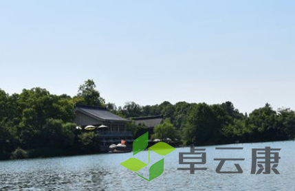 QQ截图20230306104924