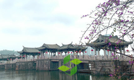 QQ截图20230306143430