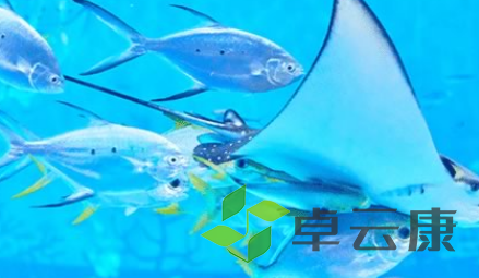 QQ截图20230307102940