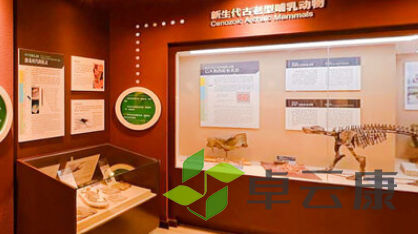 QQ截图20230307110424