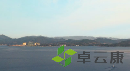 QQ截图20230307111906