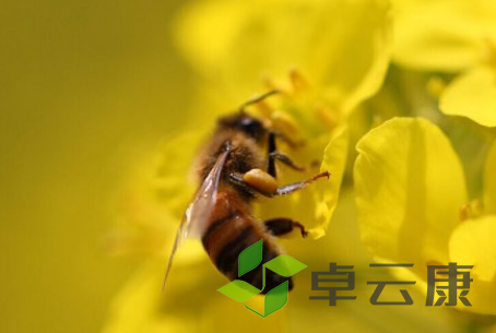 QQ截图20230308154920