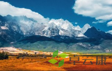 QQ截图20230308161506