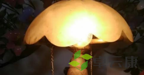20230309101204