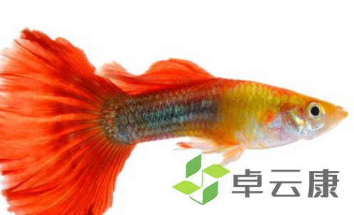 QQ截图20230309151538