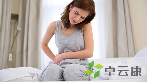 截屏2023-03-10下午12.38.00