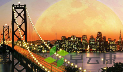 QQ截图20230310144917
