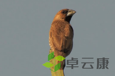 QQ截图20230310145016