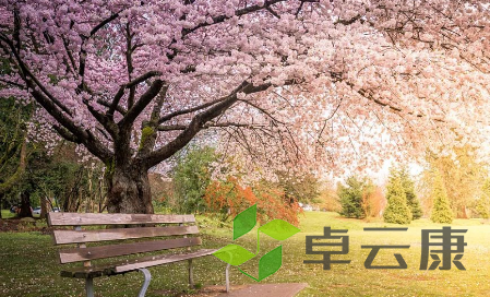 QQ截图20230312104245