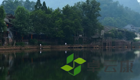 QQ截图20230312105204