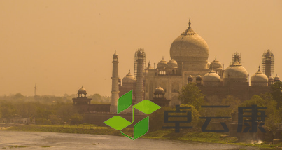 QQ截图20230313092347
