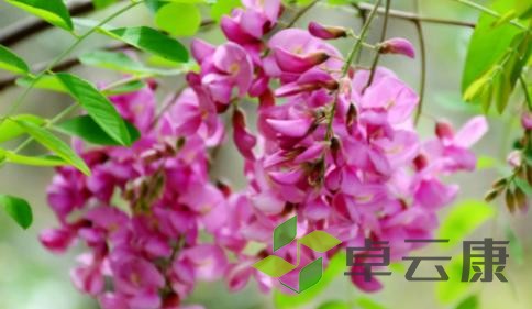 图片7