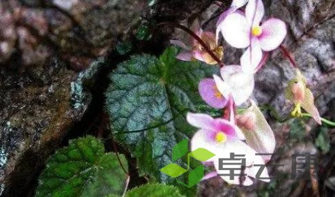 图片18